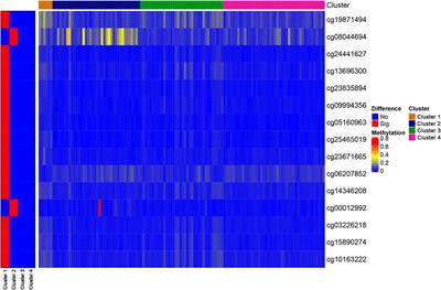 DNA Methylation Data-Based Classification and Identification of Prognostic Signature of Children With Wilms Tumor